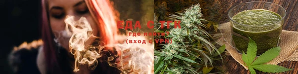 гашик Осинники