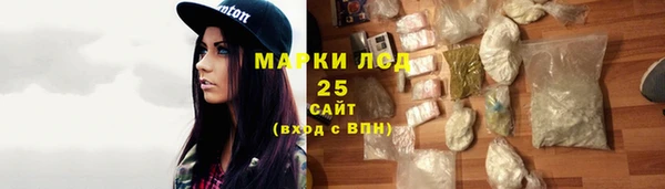 гашик Осинники
