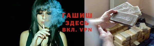 молекула духа Осташков
