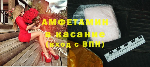 молекула духа Осташков