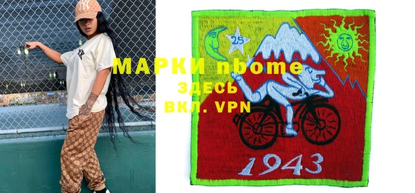 гашик Осинники