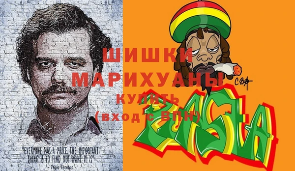 гашик Осинники