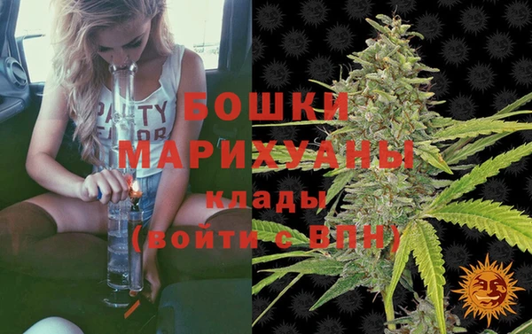 гашик Осинники