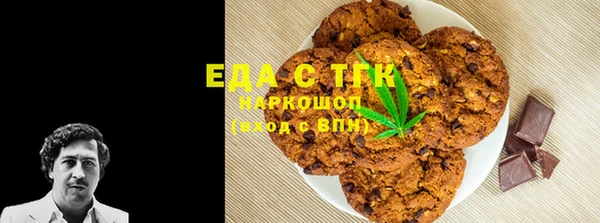 гашик Осинники