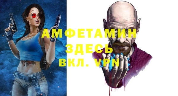 гашик Осинники