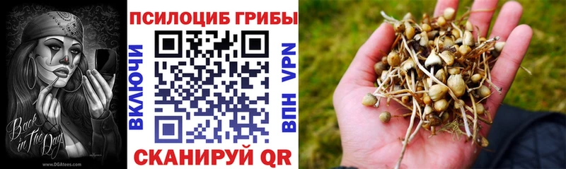 Псилоцибиновые грибы мухоморы  это формула  Слюдянка 